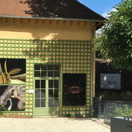 Charmante maison bourguignonne avec grand jardin et parking Montbard Extérieur photo