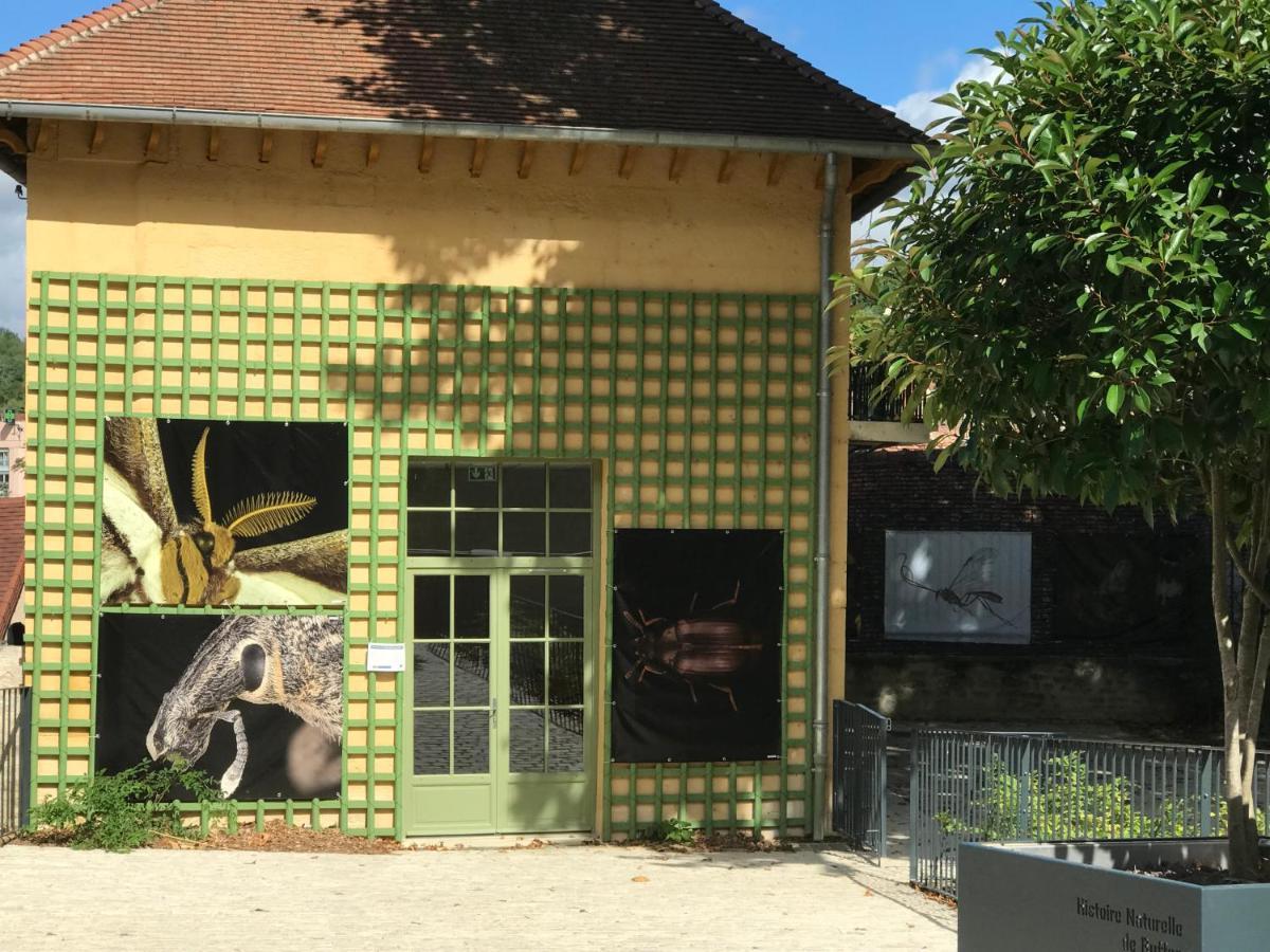 Charmante maison bourguignonne avec grand jardin et parking Montbard Extérieur photo